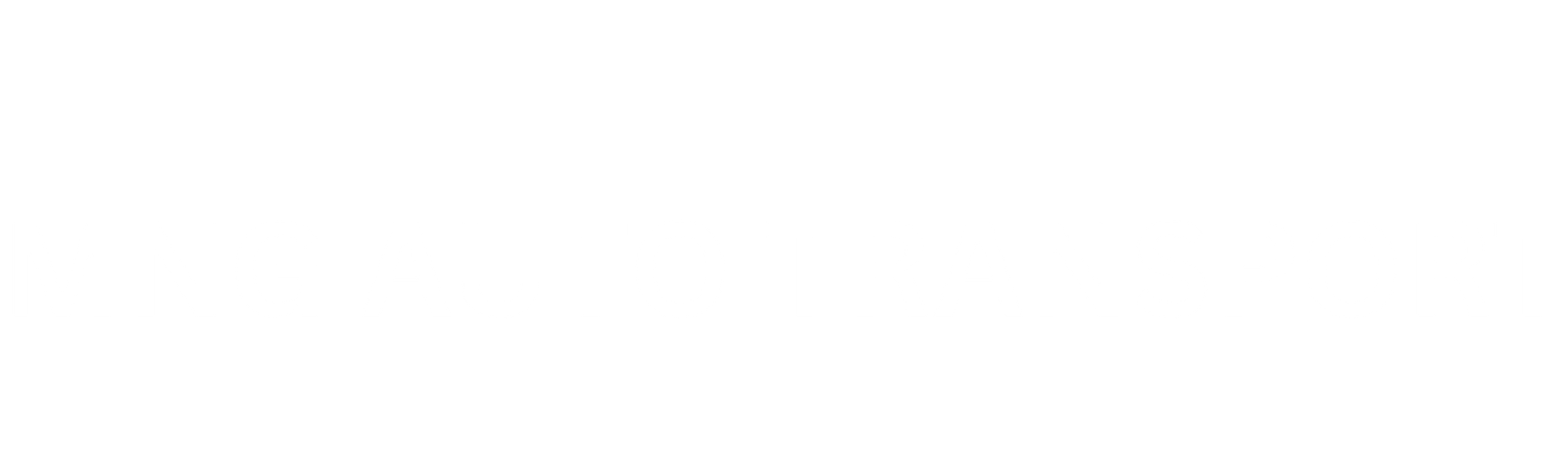 MNG AUTO TRANSPORT